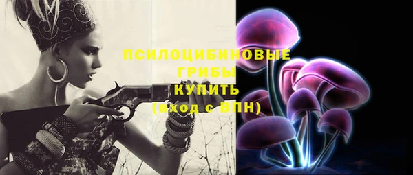 амф Арсеньев