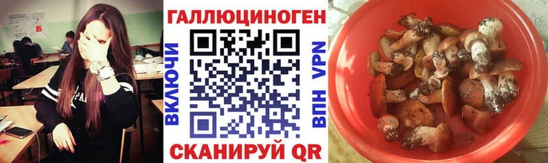 ОМГ ОМГ онион  Лабинск  Галлюциногенные грибы Cubensis 
